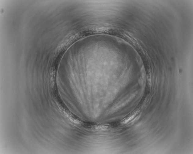 X0000059230462200510281910