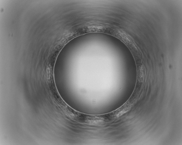 X0000059230463200510281910