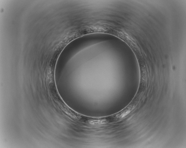 X0000059230465200510281910