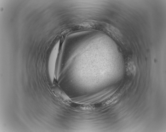 X0000059230466200510281910