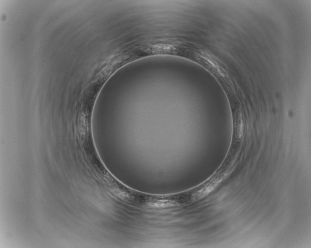 X0000059230467200510281910