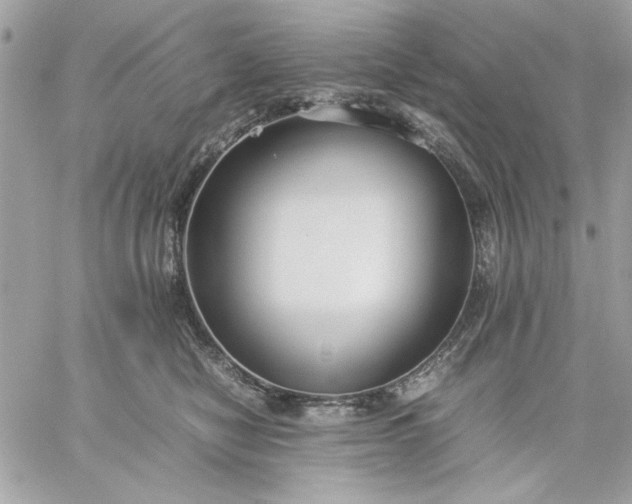 X0000059230470200510281910