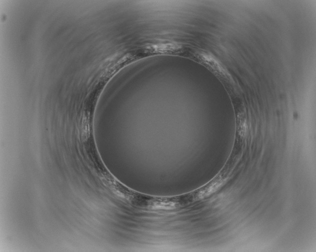 X0000059230471200510281910