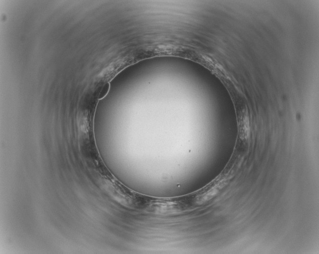 X0000059230472200510281910