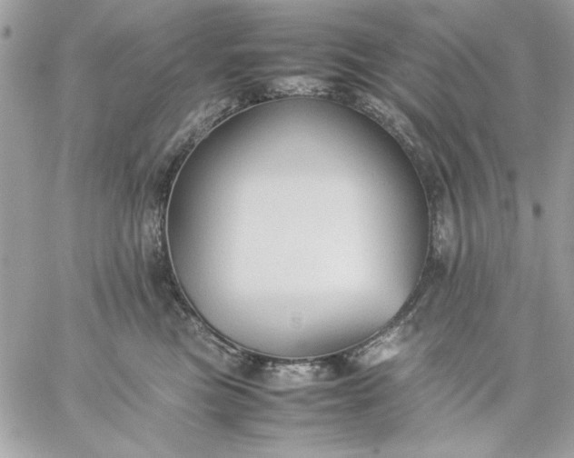 X0000059230473200510281910