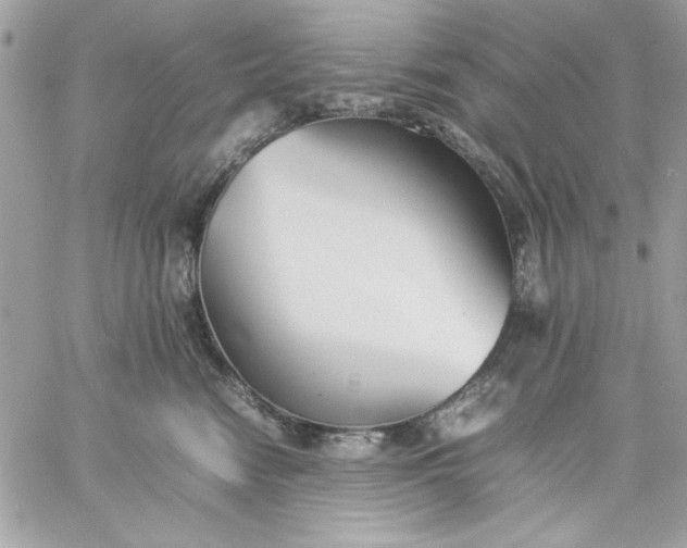 X0000059230474200510281910