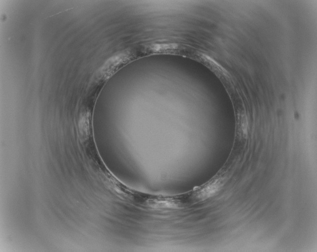 X0000059230475200510281910