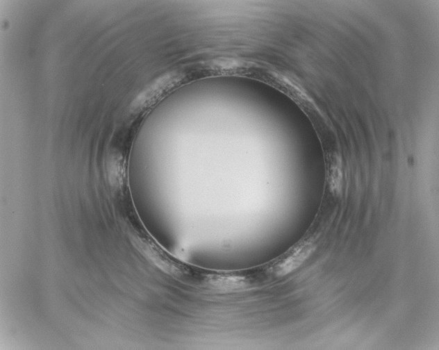 X0000059230476200510281910