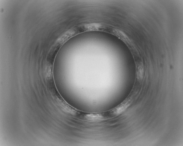 X0000059230477200510281910