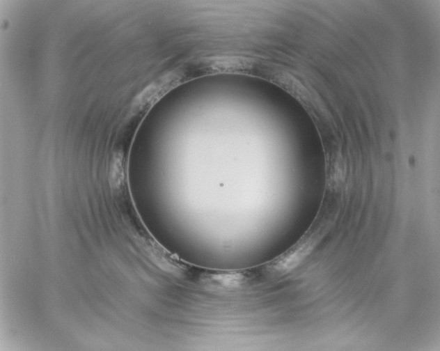 X0000059230478200510281910