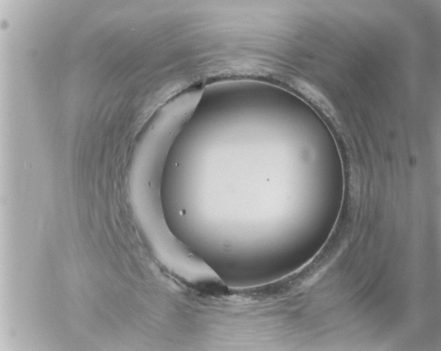 X0000059230481200510281909