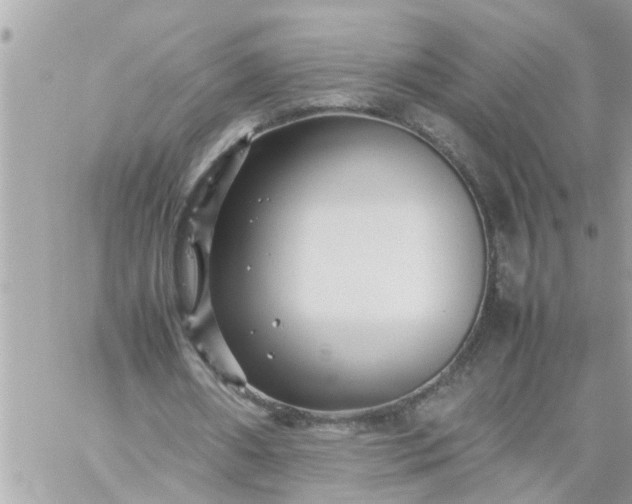 X0000059230482200510281909