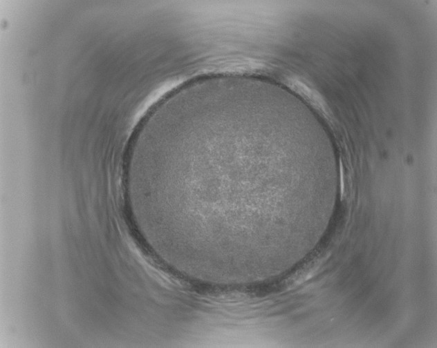 X0000059230483200510281909