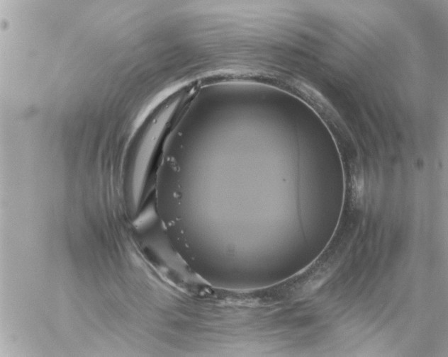 X0000059230484200510281909