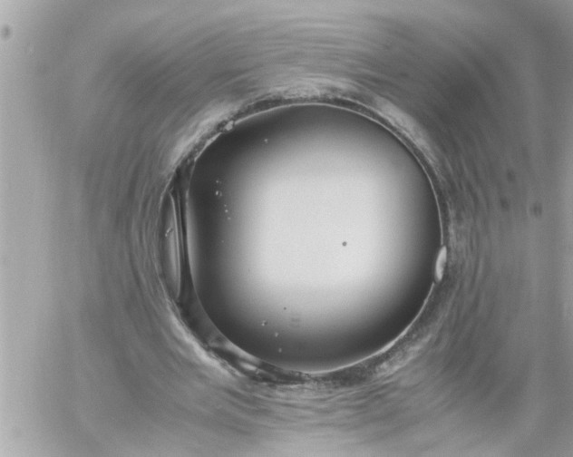 X0000059230485200510281909