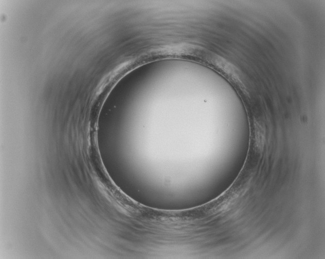 X0000059230486200510281909