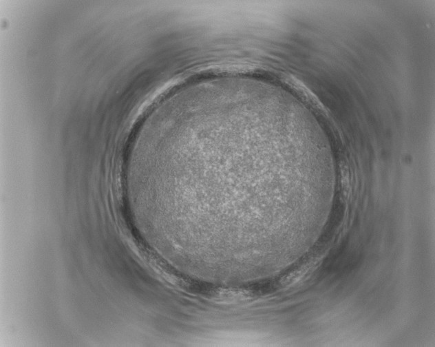 X0000059230487200510281909