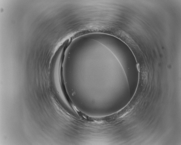 X0000059230488200510281909