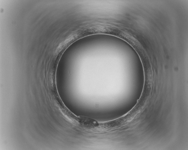 X0000059230489200510281909