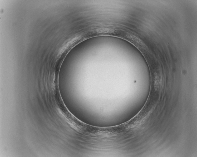 X0000059230490200510281909