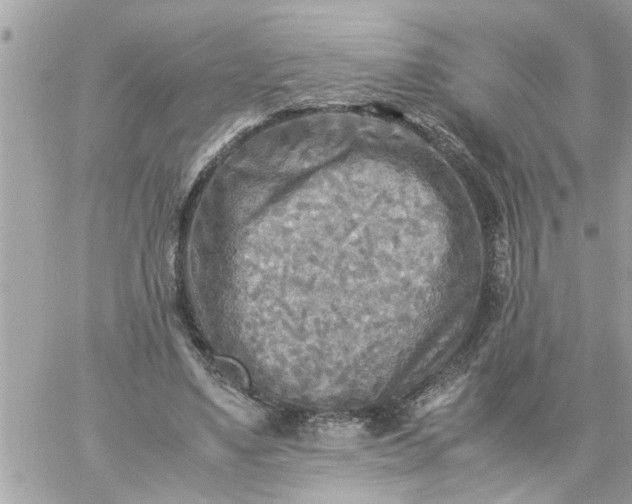 X0000059230491200510281909