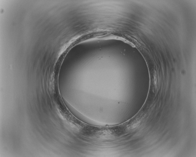 X0000059230492200510281909