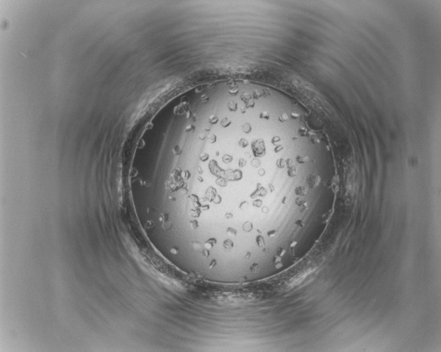 X0000059230494200510281909