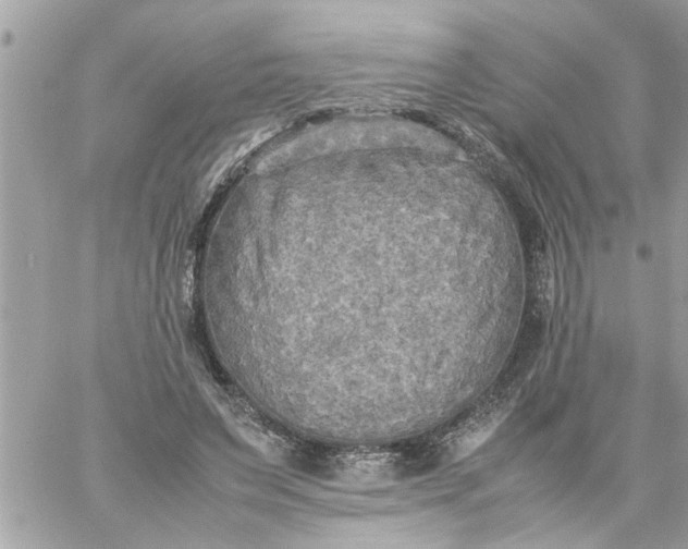 X0000059230495200510281909