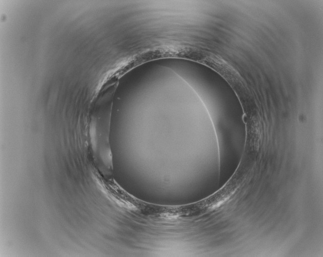 X0000059230496200510281909