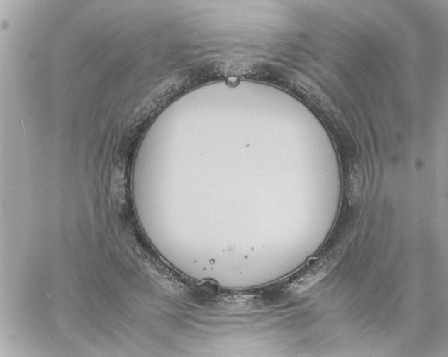 X0000059230497200510281909