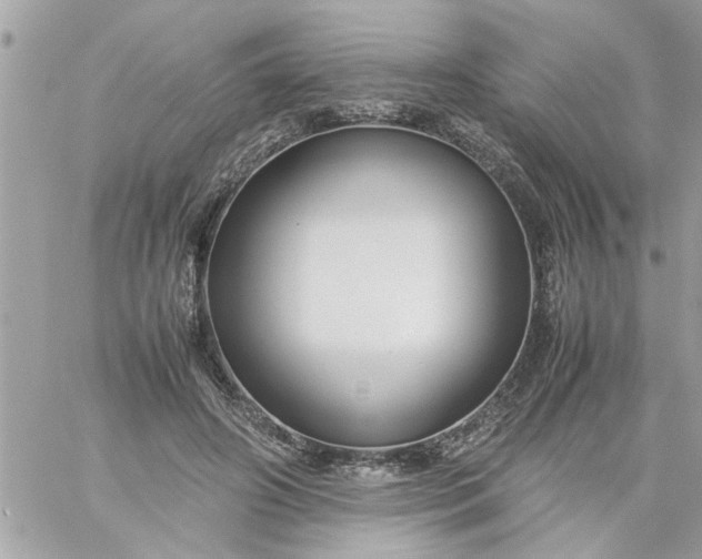 X0000059230498200510281909