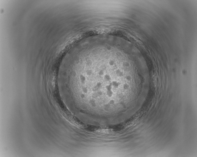 X0000059230499200510281909