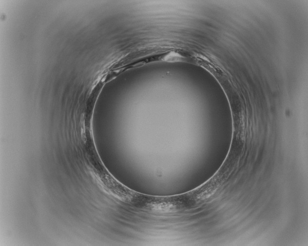 X0000059230500200510281909