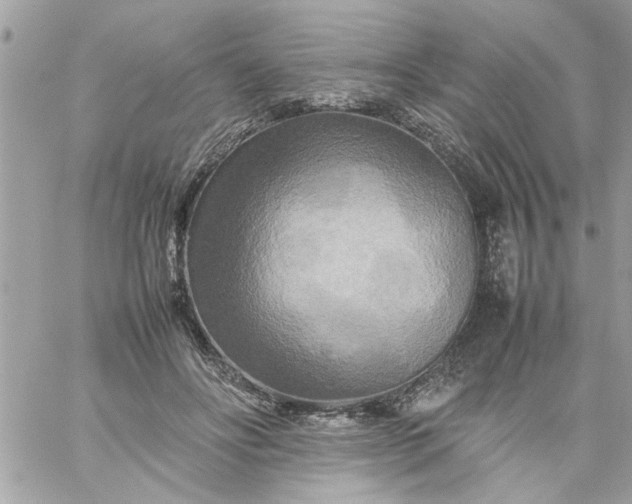 X0000059230502200510281909