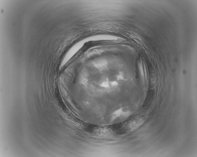 X0000059230503200510281909