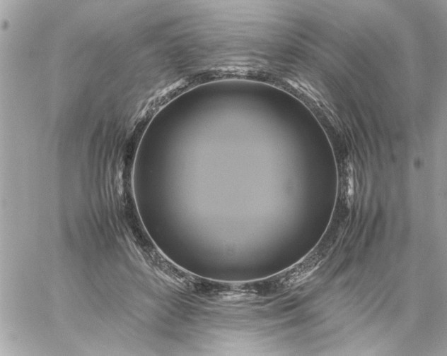 X0000059230504200510281909