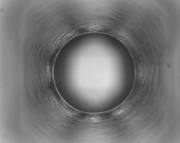 X0000059230506200510281909