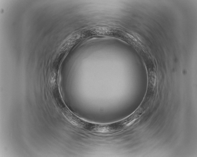 X0000059230507200510281909