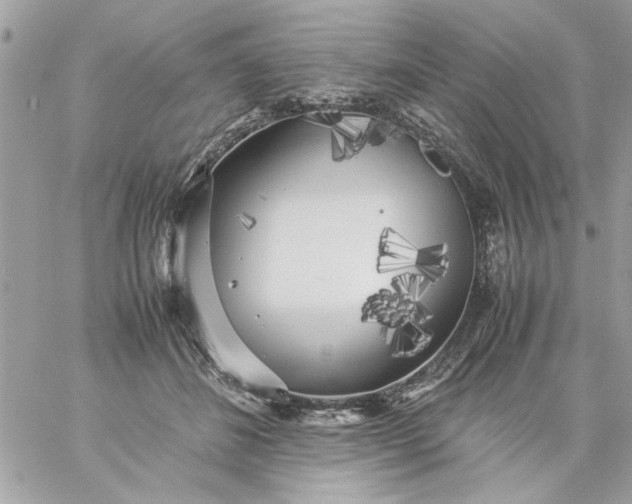 X0000059230508200510281909