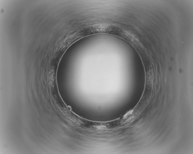 X0000059230509200510281909