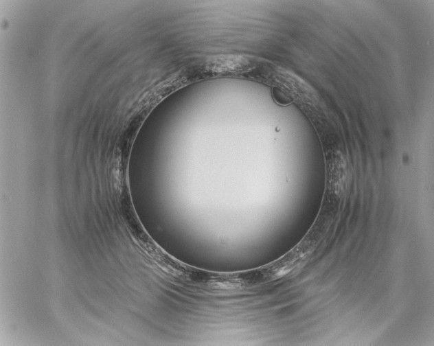 X0000059230510200510281909