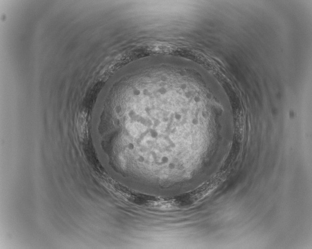 X0000059230511200510281909