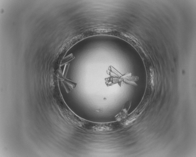 X0000059230512200510281908