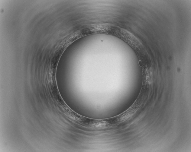 X0000059230514200510281908