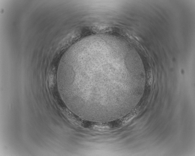 X0000059230515200510281908