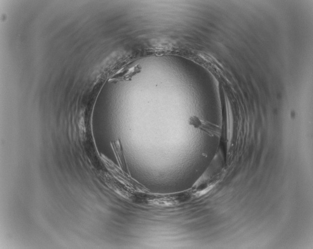 X0000059230516200510281908