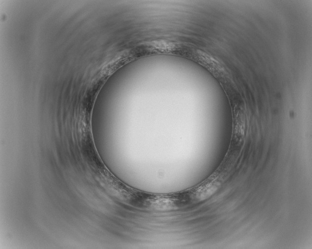 X0000059230518200510281908