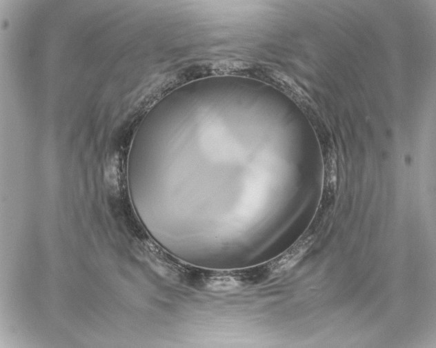 X0000059230519200510281908