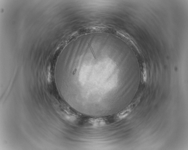 X0000059230520200510281908