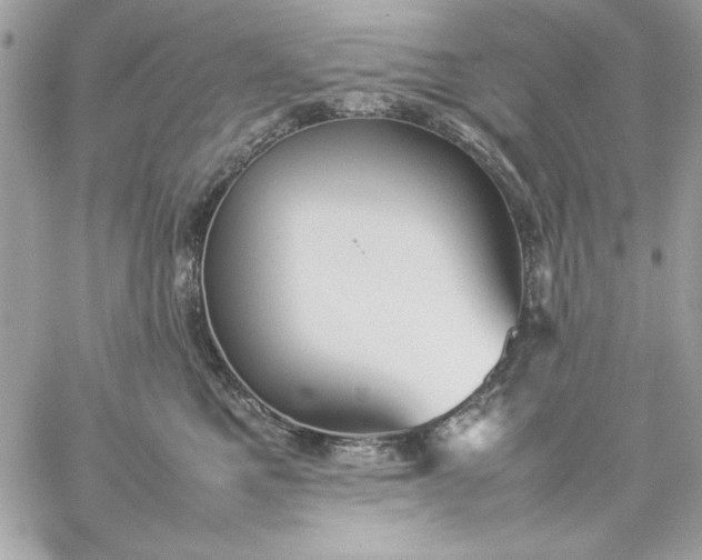 X0000059230521200510281908